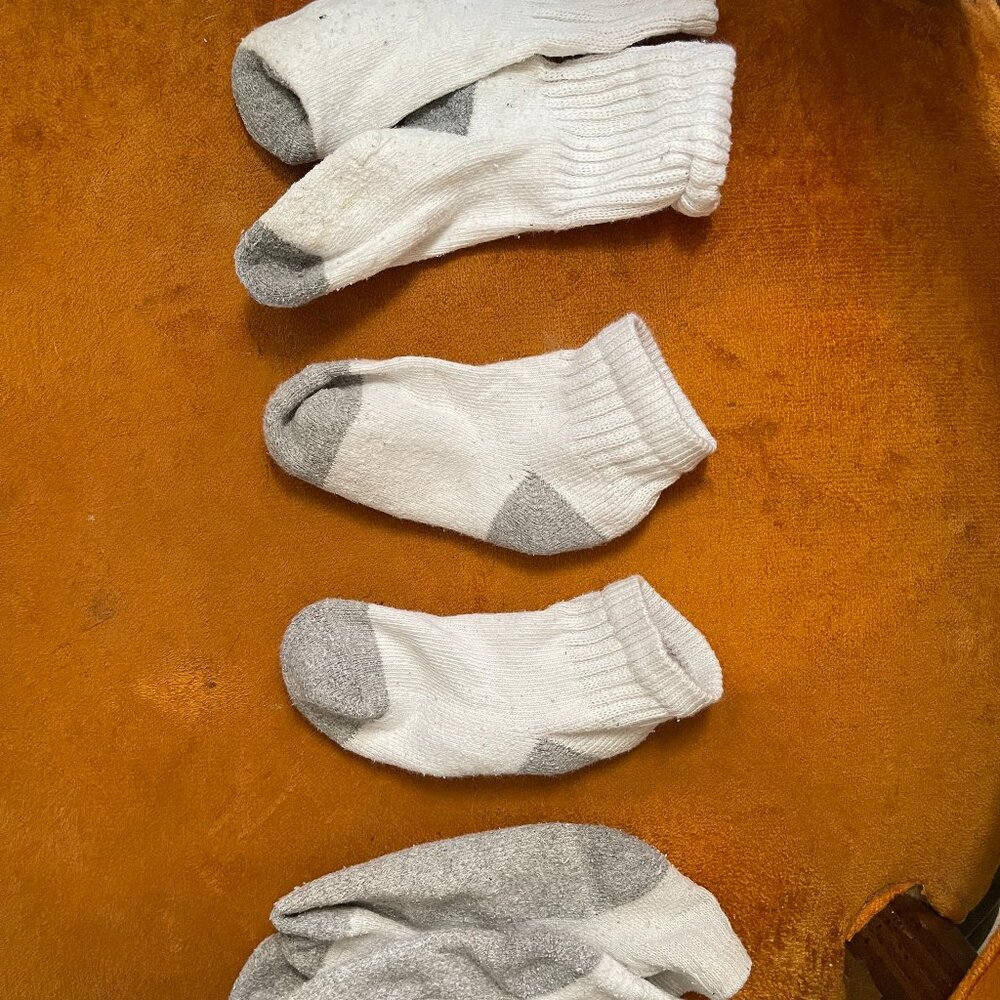 hanes boy's ankle socks